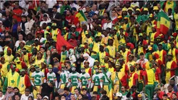 Senegal fans in the Stadium