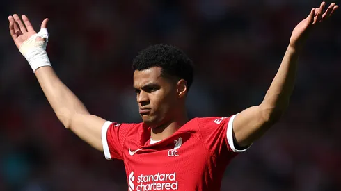 Cody Gakpo of Liverpool