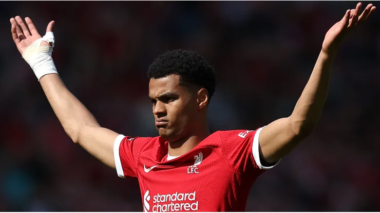 Cody Gakpo of Liverpool