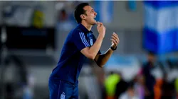 Lionel Scaloni coach of Argentina