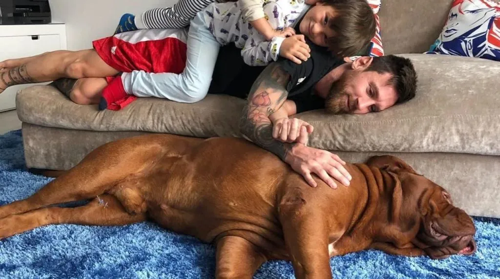 Messi’s dog Hulk (Instagram)
