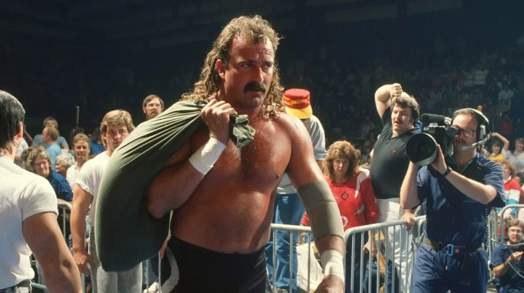 Jake The Snake Roberts (WWE)