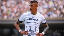 Robert Ergas of Pumas