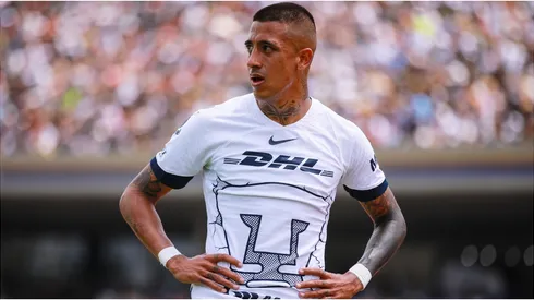 Robert Ergas of Pumas