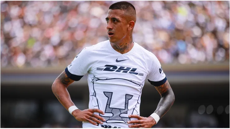 Robert Ergas of Pumas