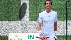 The use of hawk-eye has been widely accepted