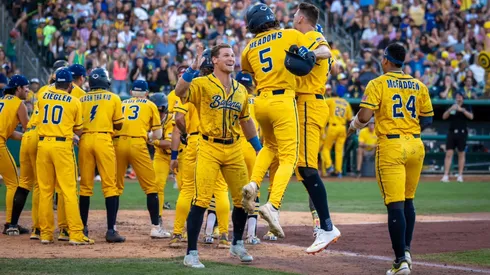 The famous Savannah Bananas