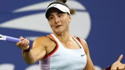 Andreescu screamed back at a heckler