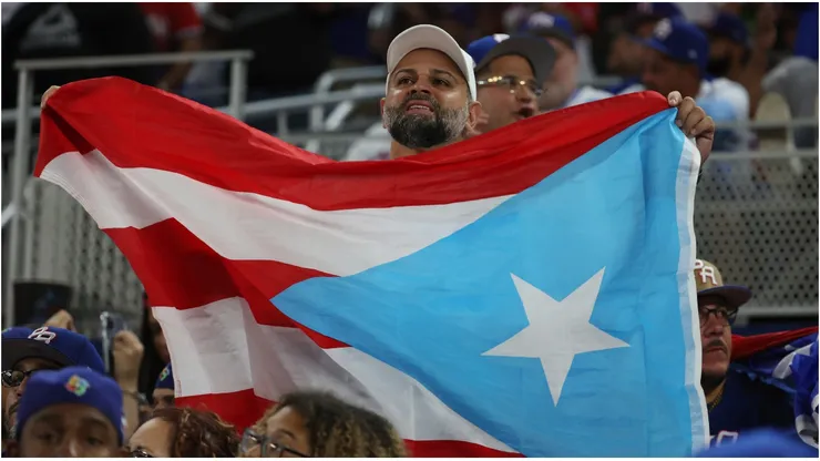 A fan of Team Puerto Rico