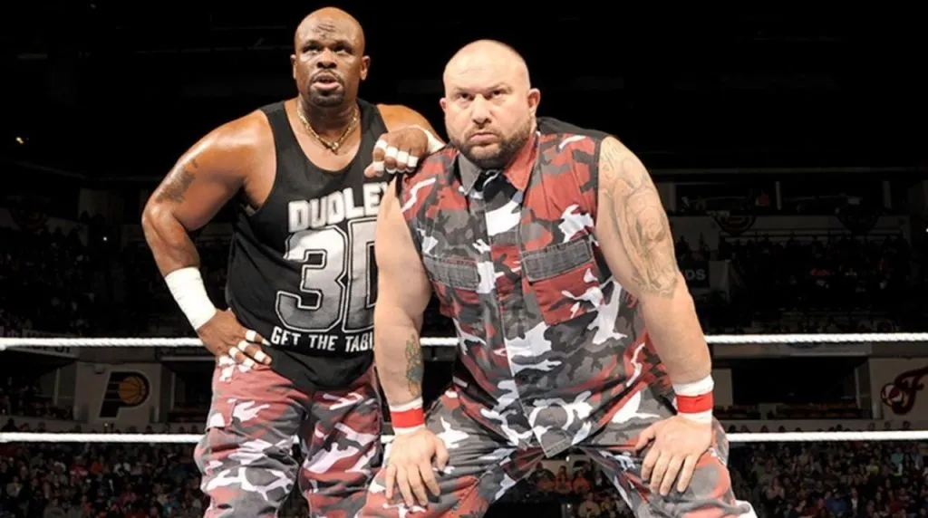 The Dudley Boyz (Bubba Ray and D-Von Dudley)