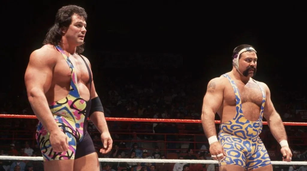 The Steiner Brothers (Rick and Scott Steiner)