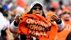 Cincinnati Bengals fan - NFL 2022