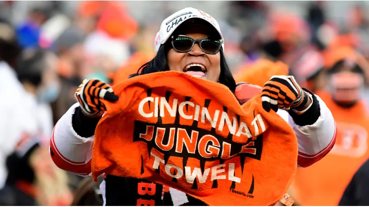 Cincinnati Bengals fan - NFL 2022