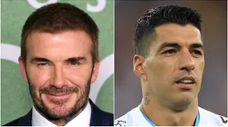 Luis Suarez is David Beckham's big splash for 2024
