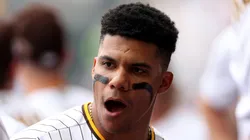 Juan Soto, new star of the Yankees