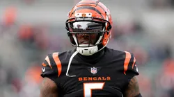 Tee Higgins of the Cincinnati Bengals