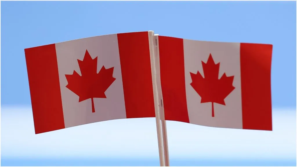 A fan displays Canadian flags – Matt McNulty/Getty Images for ITF
