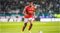 David Neres of SL Benfica