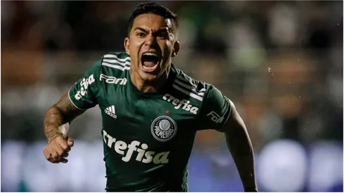 Eduardo Pereira Rodrigues of Palmeiras