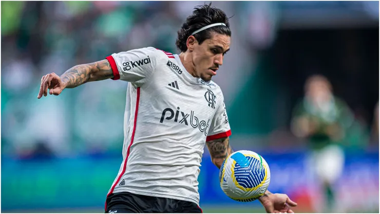 Pedro of Flamengo