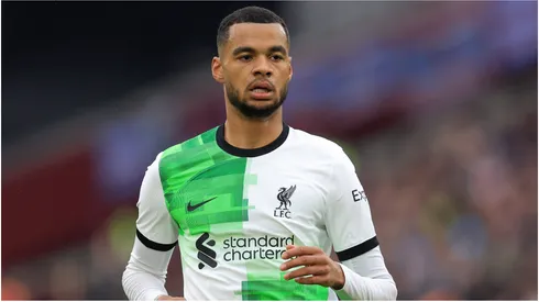 Cody Gakpo of Liverpool