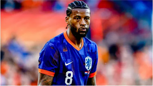 Georginio Wijnaldum of Netherlands