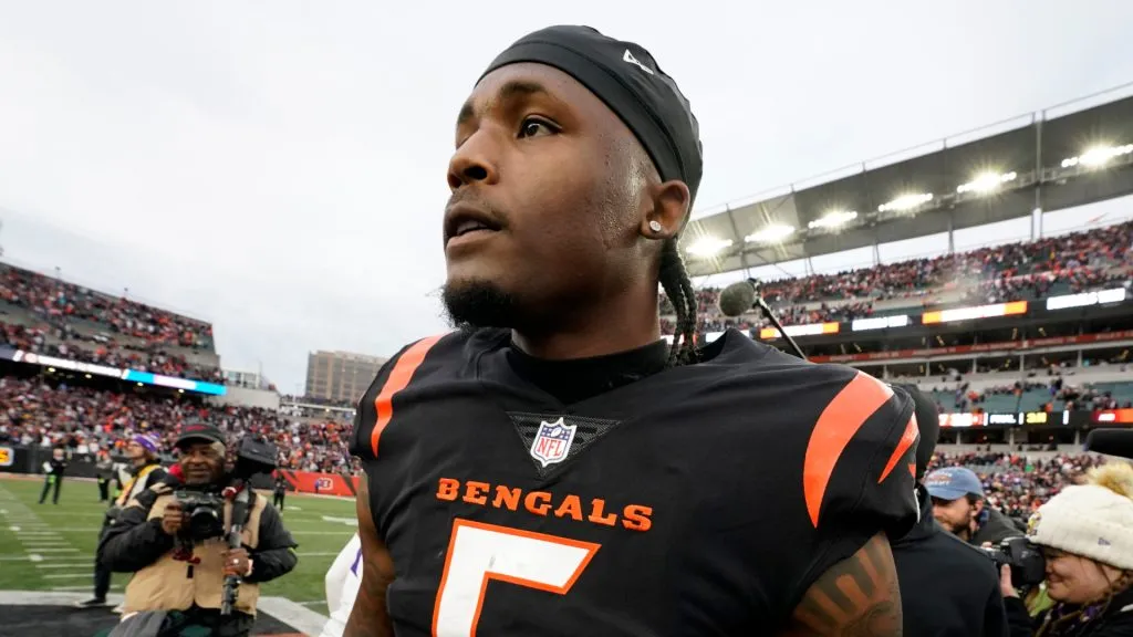 Tee Higgins, wide receiver of the Cincinnati Bengals