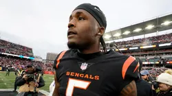 Tee Higgins, wide receiver of the Cincinnati Bengals