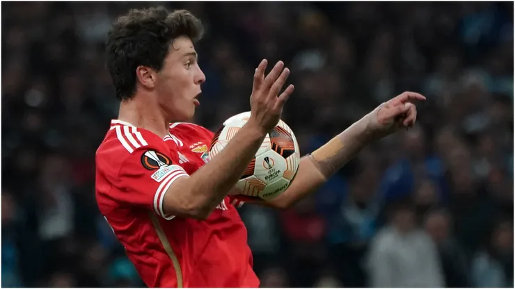 Joao Neves (SL Benfica)