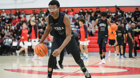 Brother of Bryce James' teammate hypes up fans ahead of Arizona debut