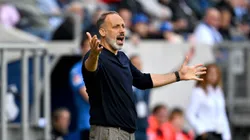 Pellegrino Matarazzo