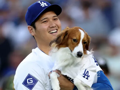 Dodgers News: Shohei Ohtani mimics his dog in hilarious on-field celebration