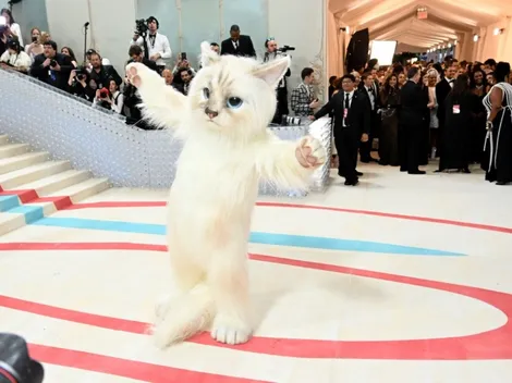 Who was the white kitten at the 2023 Met Gala?
