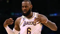 LeBron James of the Los Angeles Lakers during the series against the Memphis Grizllies
