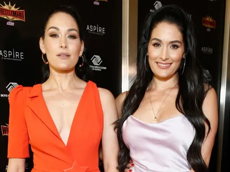 The Bella Twins say goodbye to WWE: What happened to the wrestlers?