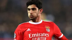 Goncalo Guedes of Benfica