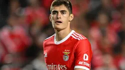 Antonio Silva of Benfica