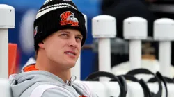 Burrow of the Bengals