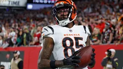 Tee Higgins - Cincinnati Bengals - NFL 2022