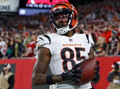 NFL News: Bengals' Tee Higgins speaks for the first time about Damar Hamlin's incident
