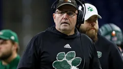 Tim Albin is Ohio's head coach