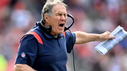 Belichick of the Patriots