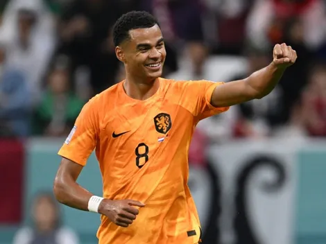 Netherlands easily defeat Qatar 2-0 and advance to the Round of 16: Highlighst and goals