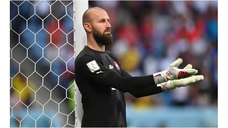 Serbia goalkeeper Vanja Milinkovic-Savic