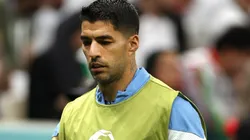 Luis Suarez.
