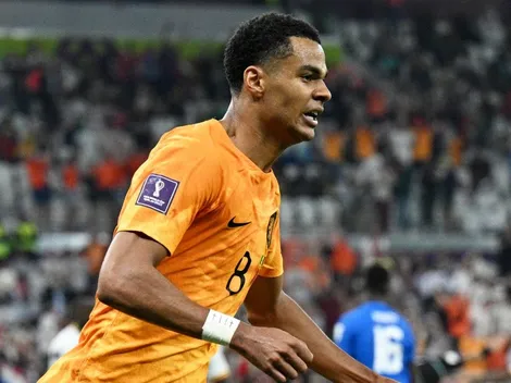 Netherlands vs Qatar: Lineups for today's Qatar 2022 World Cup game