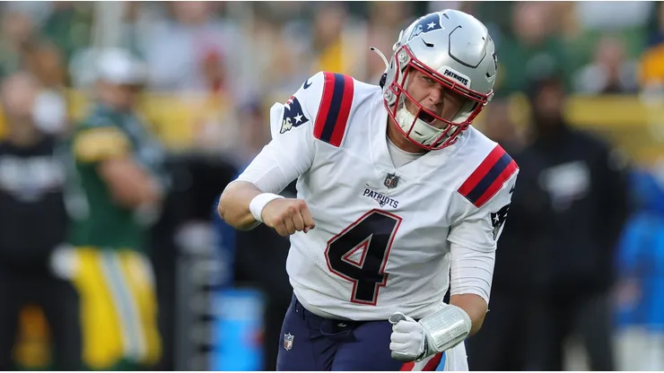 Bailey Zappe - New England Patriots / NFL 2022