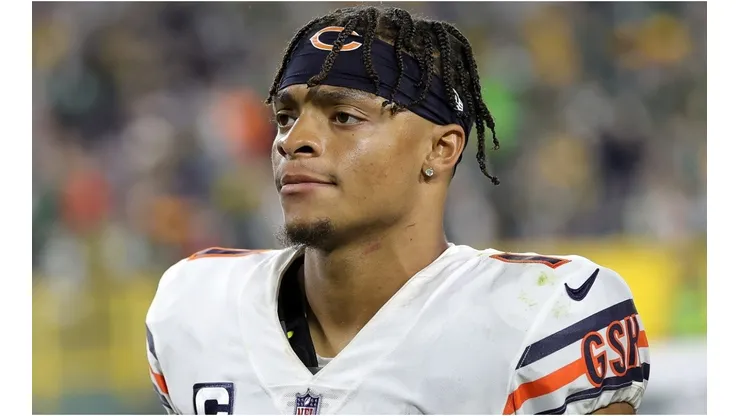 Fields of the Bears