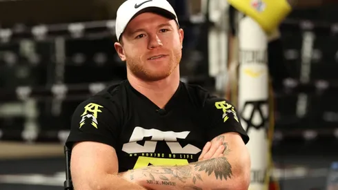 Saul Canelo Alvarez, Boxing