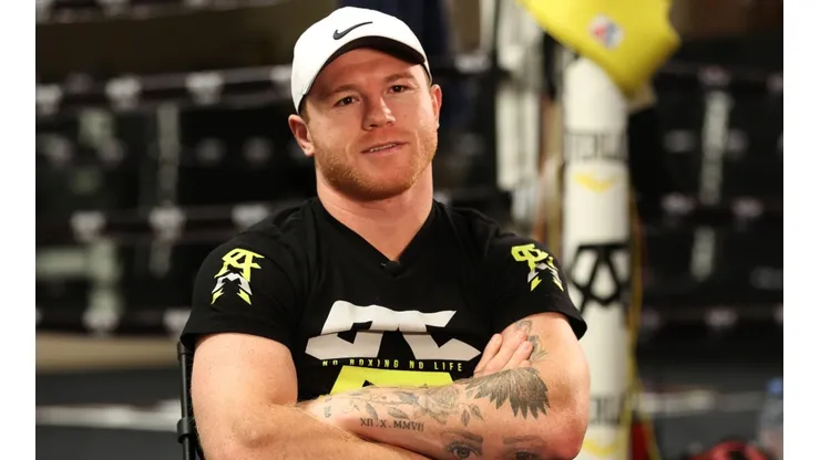 Saul Canelo Alvarez, Boxing
